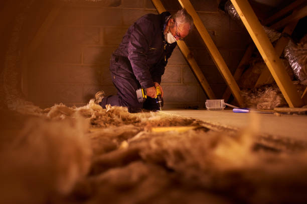 Best Geographic-Specific Insulation Services in Lakes Of The Four Seasons, IN