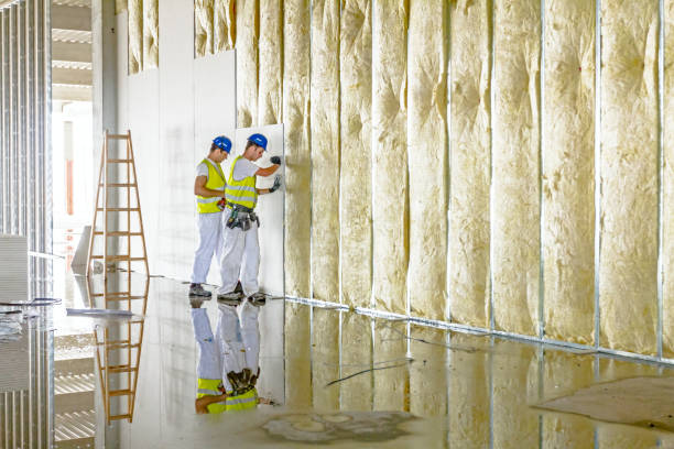 Best Energy Efficiency Insulation in Lakes Of The Four Seasons, IN